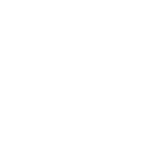google-white-icon - Business Portals